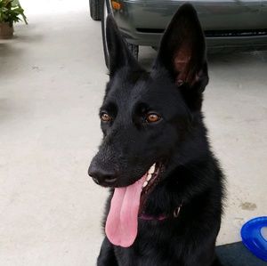 Meet your Posher, Sharon